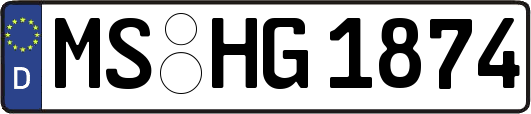 MS-HG1874