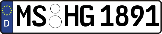 MS-HG1891