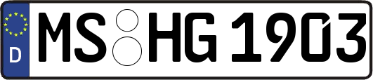 MS-HG1903