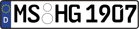 MS-HG1907