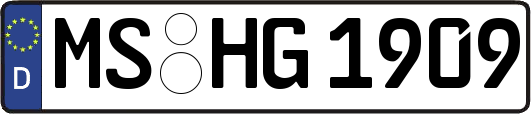 MS-HG1909