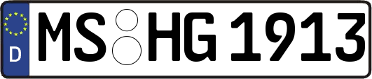 MS-HG1913