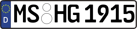 MS-HG1915