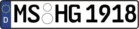 MS-HG1918