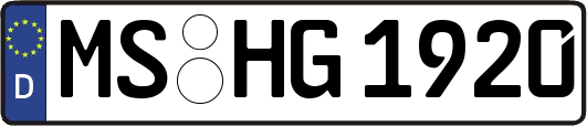 MS-HG1920
