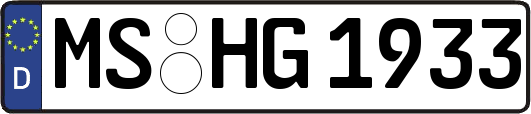 MS-HG1933
