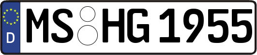 MS-HG1955