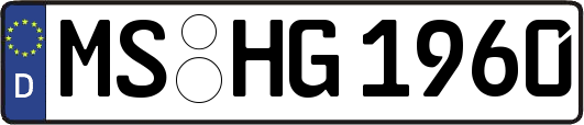 MS-HG1960