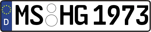 MS-HG1973