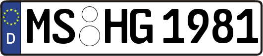 MS-HG1981