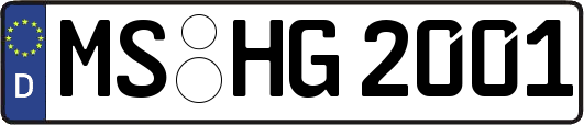 MS-HG2001
