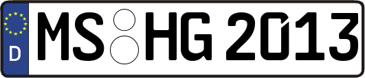 MS-HG2013