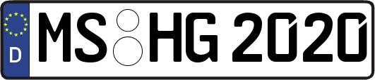 MS-HG2020