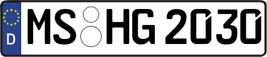 MS-HG2030