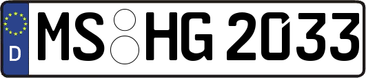 MS-HG2033