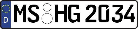 MS-HG2034