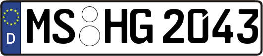 MS-HG2043