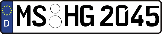 MS-HG2045
