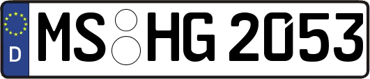 MS-HG2053