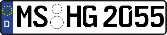 MS-HG2055