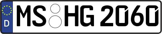 MS-HG2060