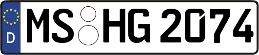 MS-HG2074