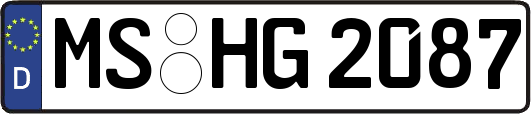 MS-HG2087