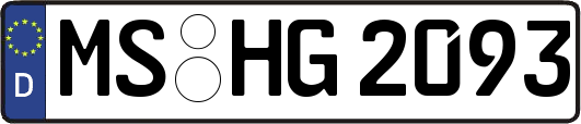 MS-HG2093
