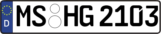 MS-HG2103
