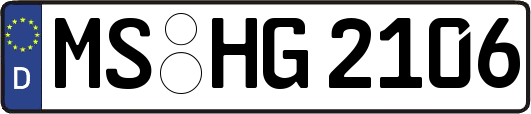 MS-HG2106