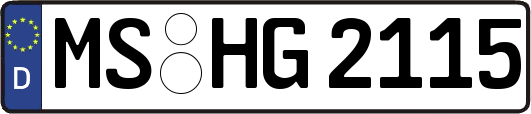 MS-HG2115