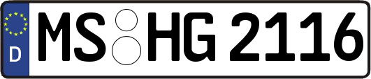 MS-HG2116