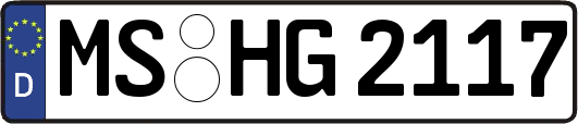 MS-HG2117
