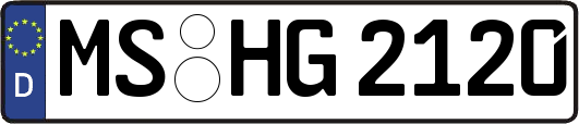 MS-HG2120