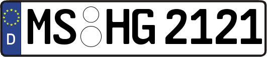 MS-HG2121