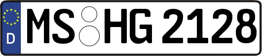 MS-HG2128