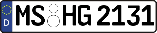 MS-HG2131
