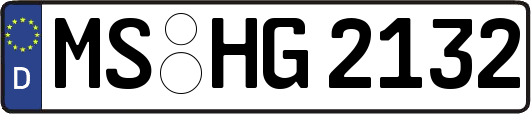 MS-HG2132