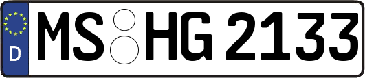 MS-HG2133