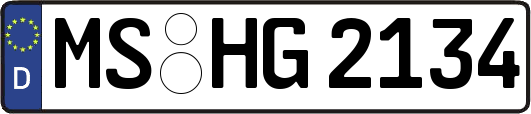 MS-HG2134