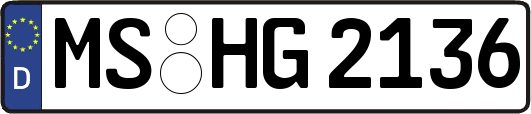 MS-HG2136