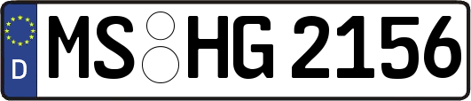 MS-HG2156