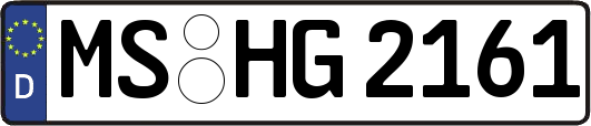 MS-HG2161