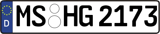 MS-HG2173