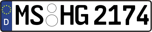 MS-HG2174