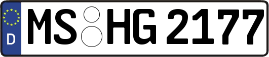 MS-HG2177
