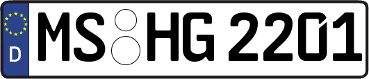 MS-HG2201