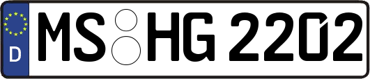 MS-HG2202