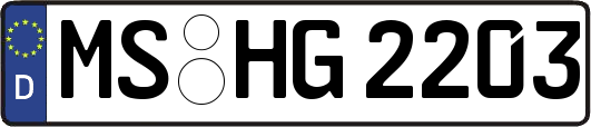 MS-HG2203