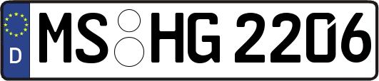 MS-HG2206